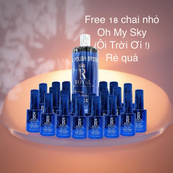 Super Hot Deal Royal Top Gel