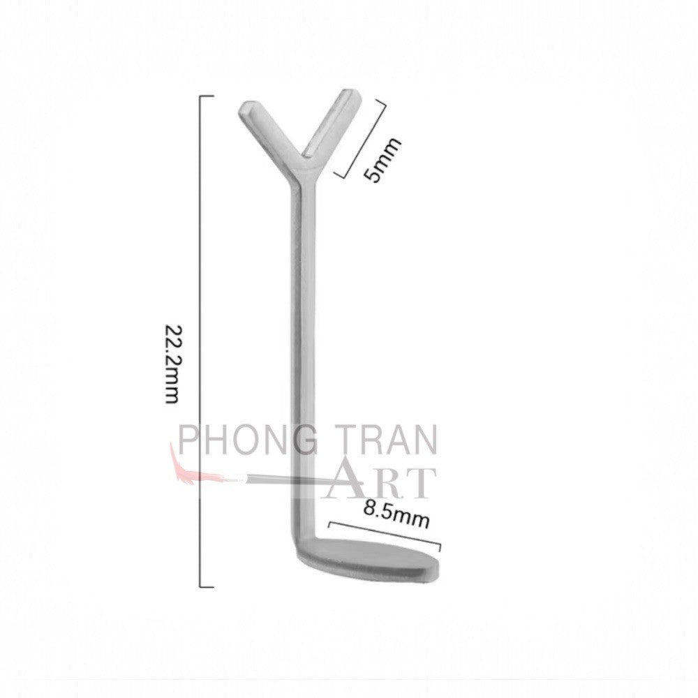 Cây Làm Cateyes Trái Tim (Pack of 2)