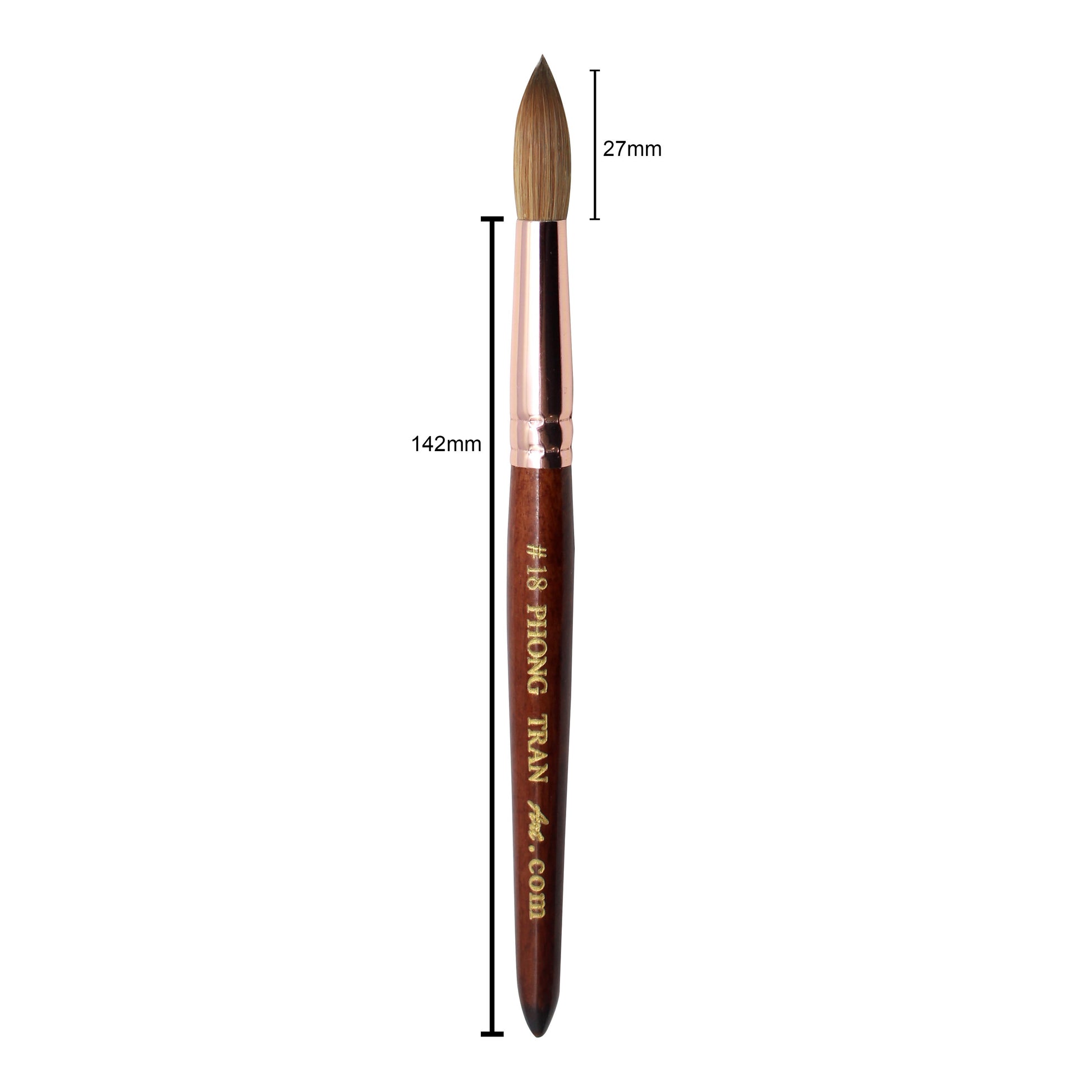 PHONG TRAN ART PREMIUM BRUSH SIZE 18 Không Bấm