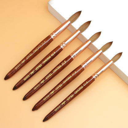 PHONG TRAN ART PREMIUM BRUSH SIZE 18 Bấm Cọ