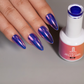 Royal Jelly Gel Cat Eyes 36 Colors Collection