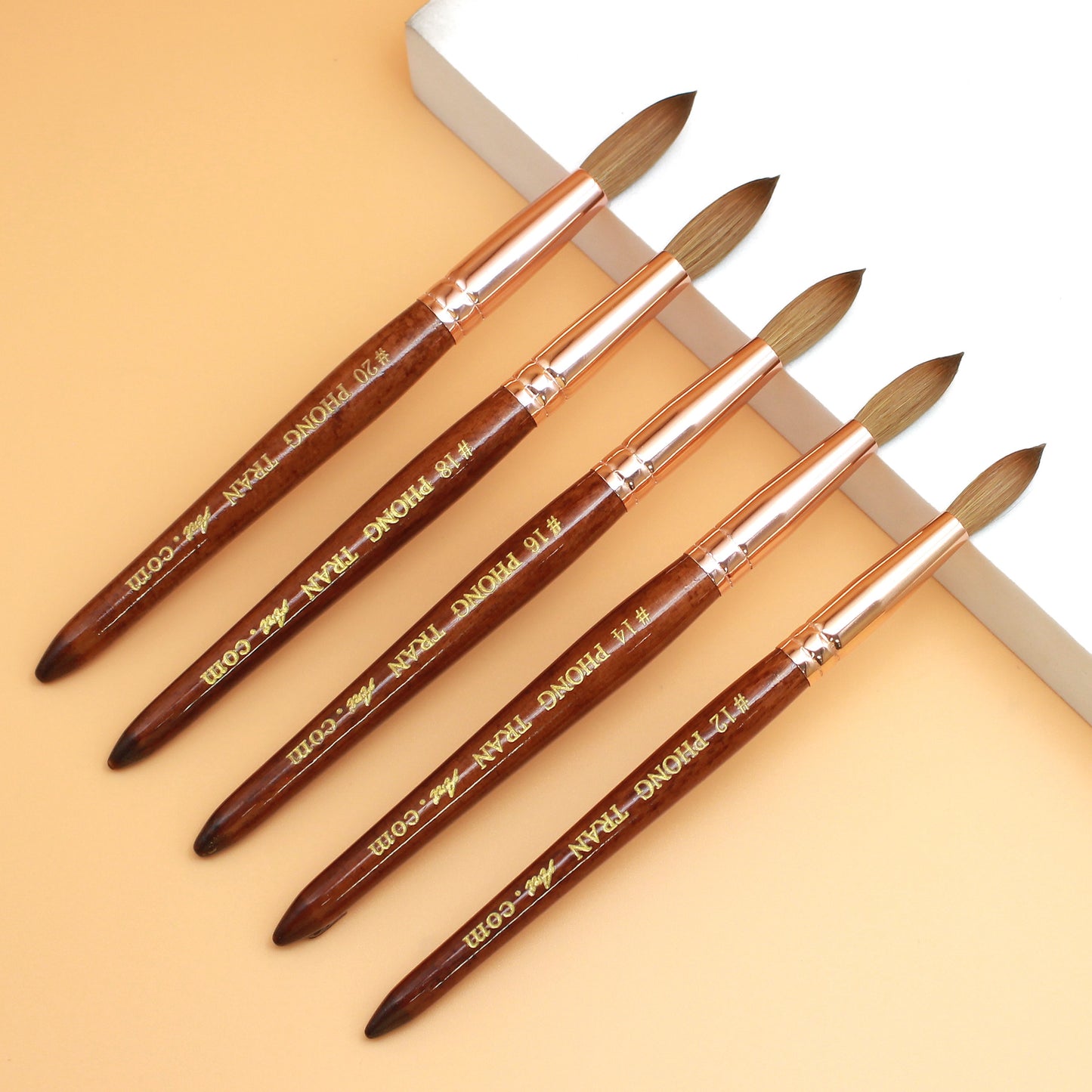 PHONG TRAN ART PREMIUM BRUSH AAA+ (SIZE 20)