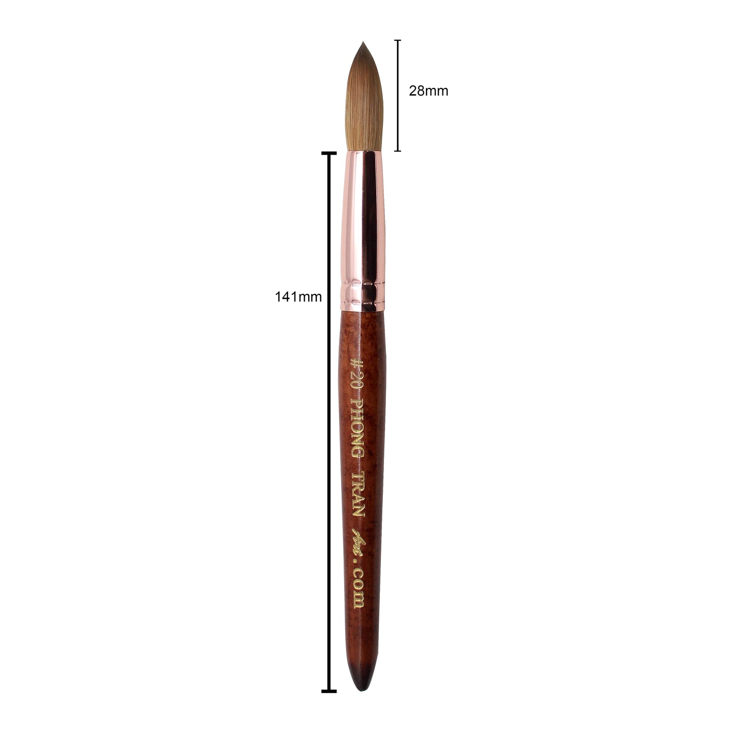 PHONG TRAN ART PREMIUM BRUSH AAA+ (SIZE 20)