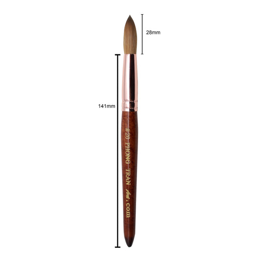 PHONG TRAN ART PREMIUM BRUSH AAA+ (SIZE 20)