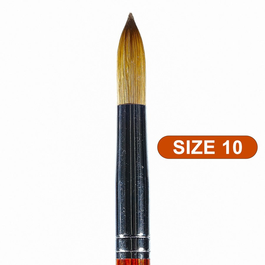 PHONG TRAN ART PREMIUM BRUSH AAA+ (SIZE 10)