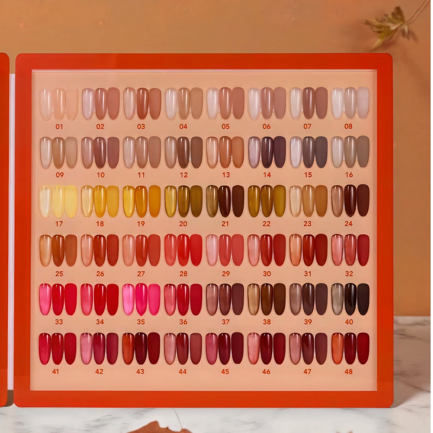 Cateyes Amber JELLY Collection 48 Màu