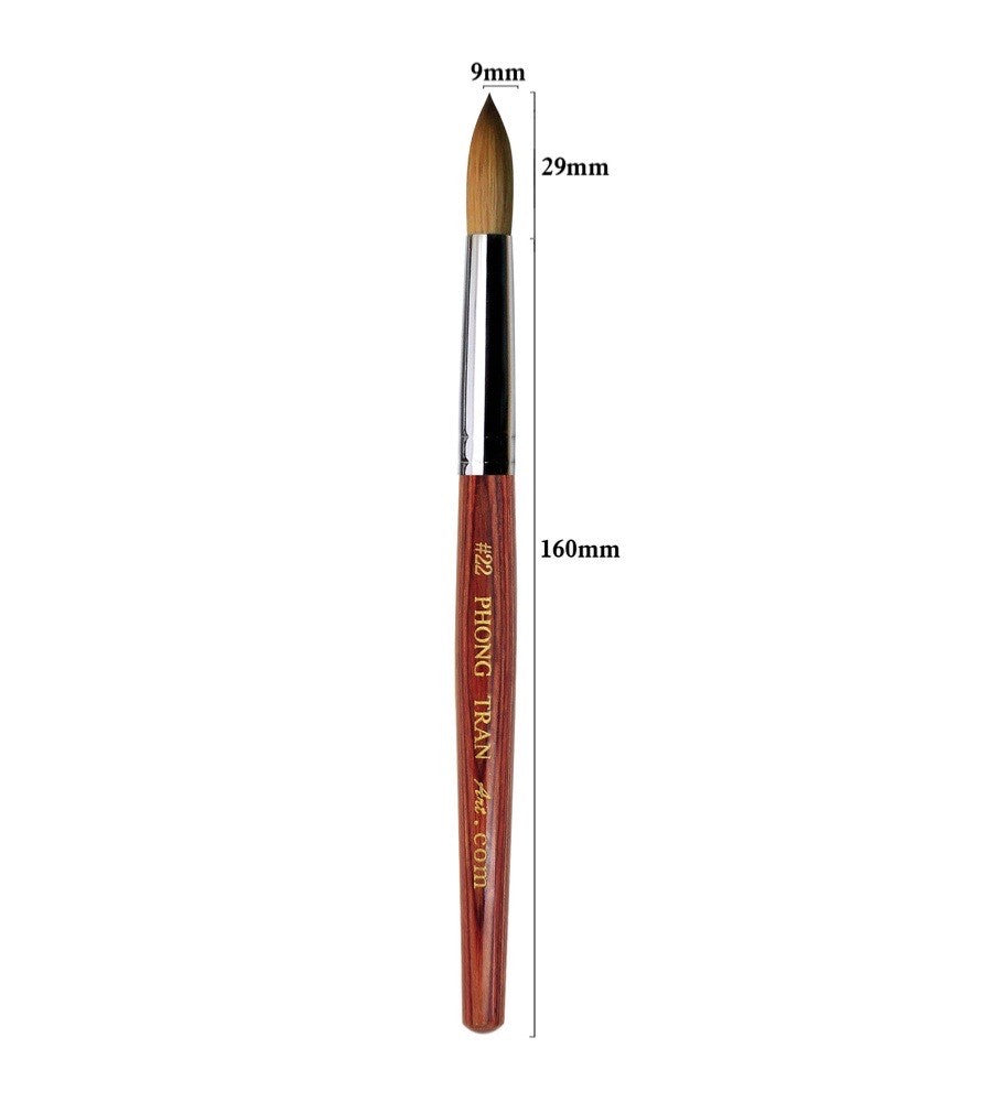 PHONG TRAN ART PREMIUM BRUSH AAA+ (SIZE 22)