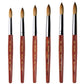 PHONG TRAN ART PREMIUM BRUSH AAA+ (SIZE 24)