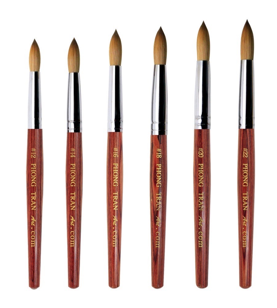 PHONG TRAN ART PREMIUM BRUSH AAA+ (SIZE 24)