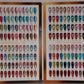 "The Flash" Royal Cateyes Collection 48 colors